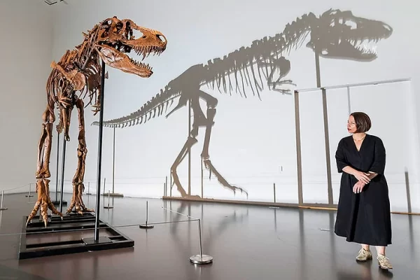 Gorgosaurus Skeleton Predicted to Make Millions at Auction