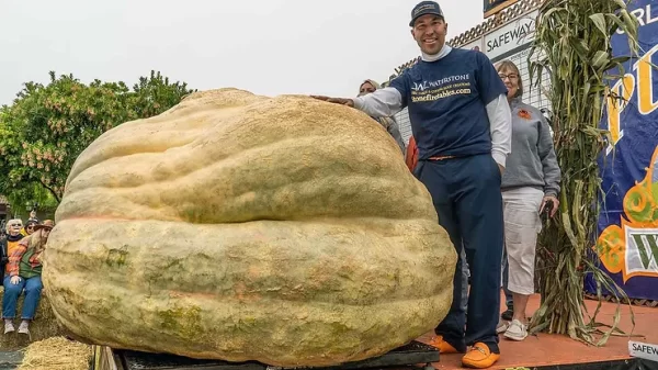 Travis Gienger Breaks the American Record for the Largest Pumpkin Ever