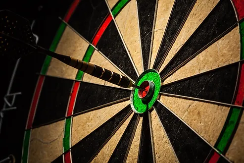 Exploring Human Perfection Limits via Darts