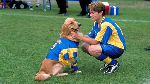 ‘Air Bud: World Pup’ Rises in Popularity