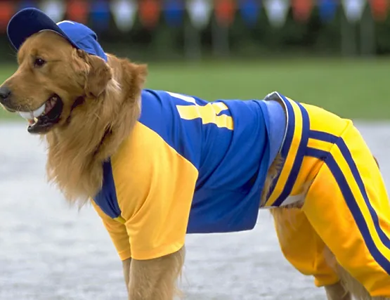 ‘Air Bud: World Pup’ Helps 1999 World Cup Stars Win Fans
