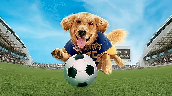 “Air Bud: World Pup” Keeps Winning Fans for the 1999 World Cup Stars
