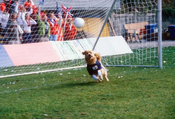 Air Bud: World Pup Keeps Fans at High hopes for new soccer generation