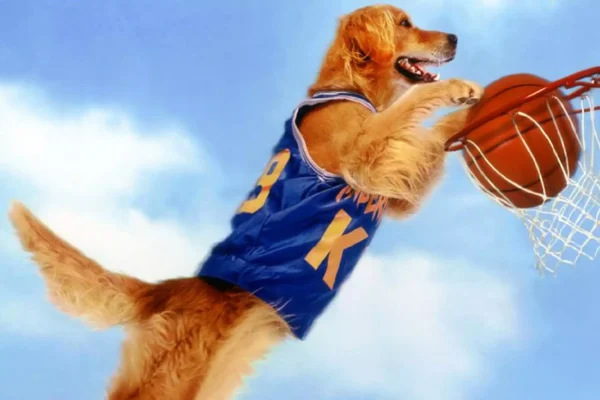 ‘Air Bud: World Pup’ is Still a Huge Success