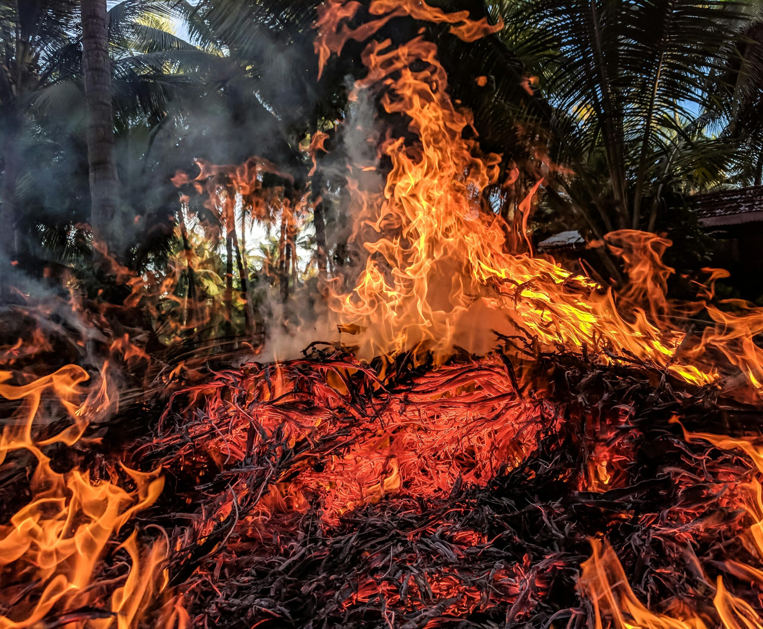 OTF Honorable Mention: Maui Wildfires is the Worst Natural Disaster Hawaii had ever Faced