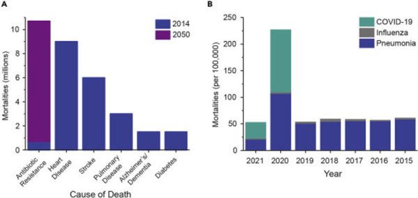 Due to the Pandemic, Drug-Resistant Infection Rates Increase