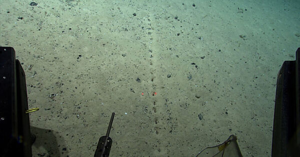 There Are Holes on the Ocean Floor. Scientists Don’t Know Why