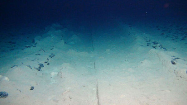 Scientists Do Not Know Why Mysterious Holes Lie Deep on the Ocean Floor