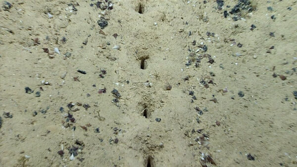 Scientists Don’t Know Why There are Holes on the Ocean Floor