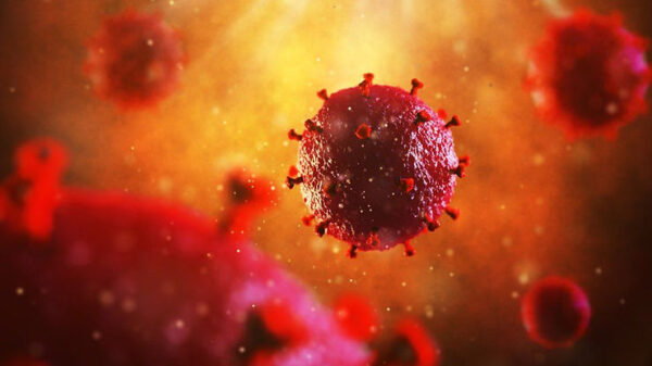 Stem Cell Transplant Shows Promise as HIV Treatment