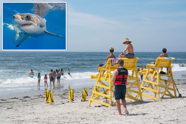 Long Island lifeguards implement new technology to monitor sharks