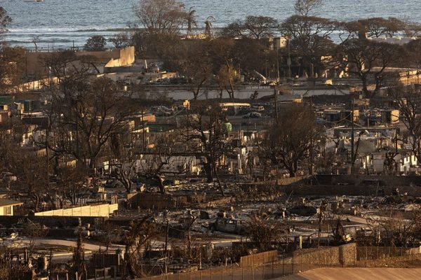 Maui wildfires ‘the worst natural disaster Hawaii ever faced’ with more bodies likely to be found