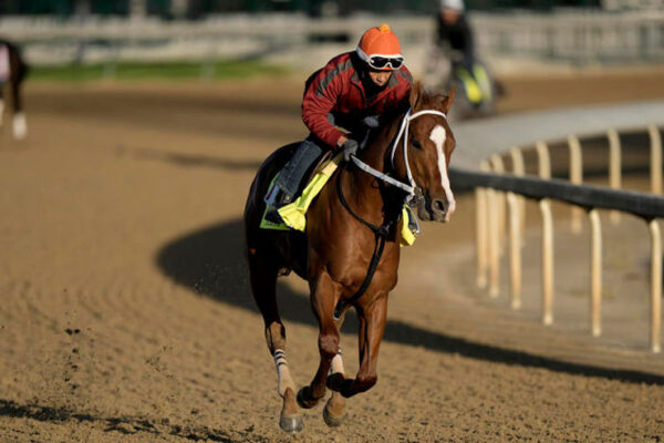 Funny Cide, a longshot horse, died this week at an unknown time at 23.