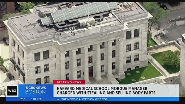 Stealing and Selling of Body Parts at Harvard Medical School