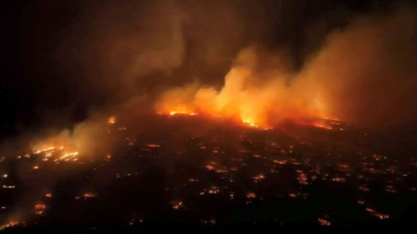 The Devasting Maui Fires Have Caused Deaths all Over Lahaina