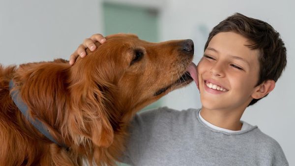 Research shows spending as little as 5 min with a dog can make you happier