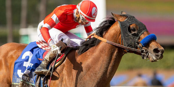 Remembering Funny Cide: A Small Horse, A Fast Runner