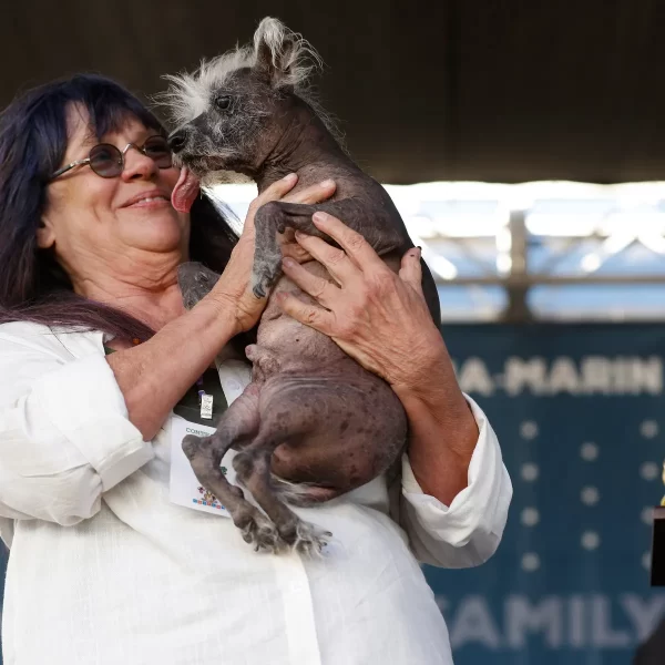 Scooter, a Chinese Crested, is Crowned World’s Ugliest Dog