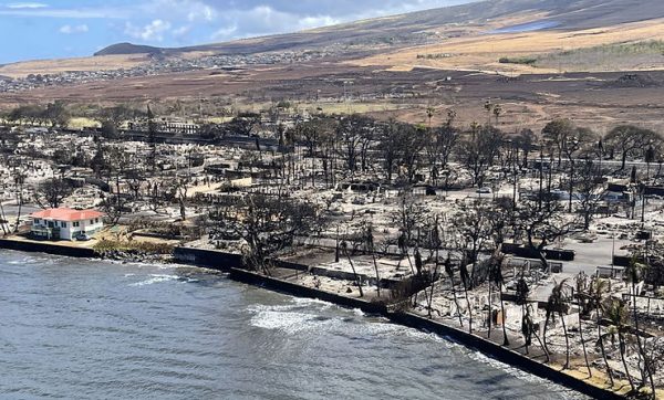 Devastation in Maui Leaves 93 Dead