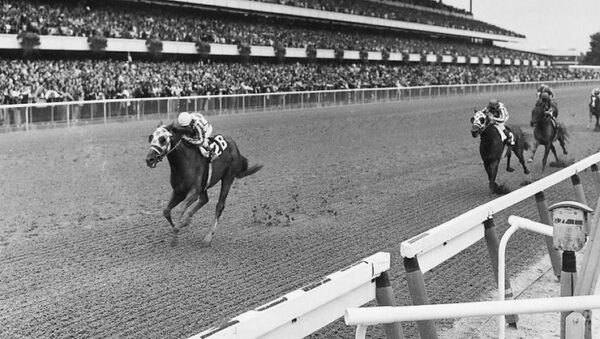 Remembering a Racehorse Who is Still Adored by the Public