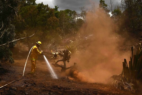 Wildfires In Maui Take More Than 90 Lives