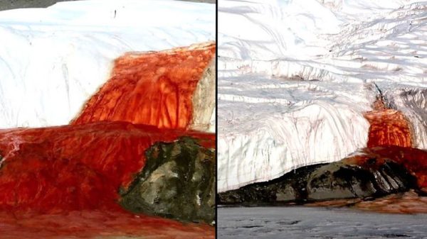 The Truth Behind Antarctica’s Blood Falls