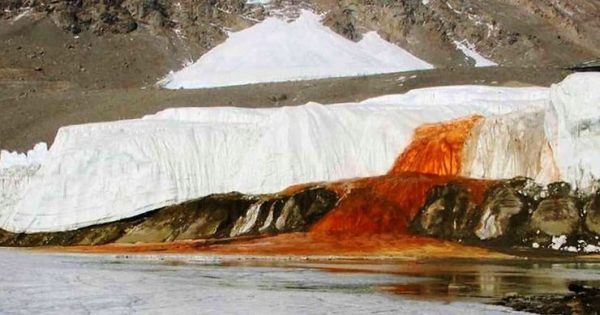 What’s Behind Antarctica’s “Blood Falls” Might Finally Be Revealed