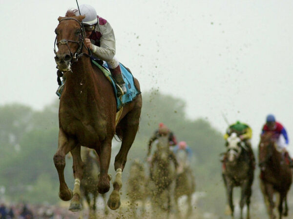 Funny Cide, a gusty longshot of a horse, who almost won the Triple Crown.