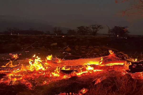 Deadly Maui Fire Kills 80+ Citizens