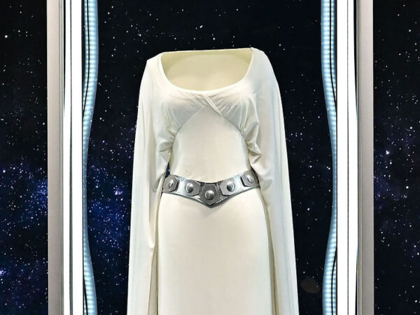 Original Princess Leia Gown Went Unsold at Auction