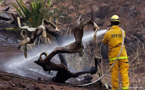 Devastation in Maui: 93 dead in deadliest U.S. wildfire in last century