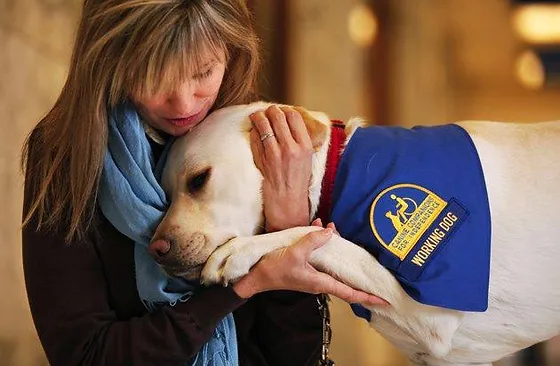 Emotional Support Dog to the Rescue