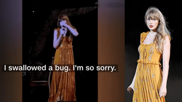 Taylor Swift Swallows a Bug During Concert