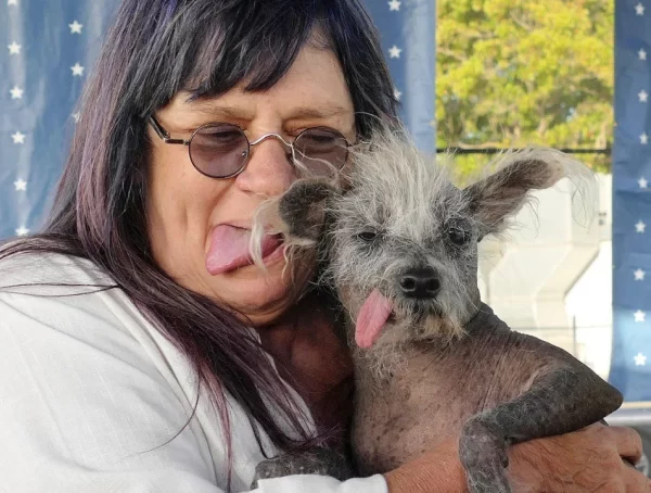 Scooter Wins World’s Ugliest Dog Contest