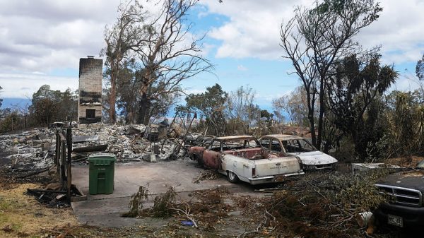 Paradise or Hell? Maui Wildfire Kills Most in a Century