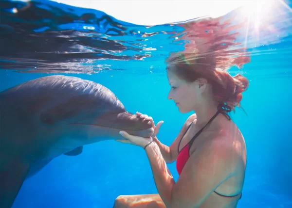 Dolphins Have Different Ways of Talking, from “Baby Talk” to “Adult Talk”