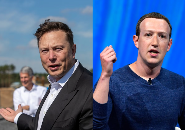 Elon Musk Might Participate in a Cage Match. His Opponent? Mark Zuckerberg