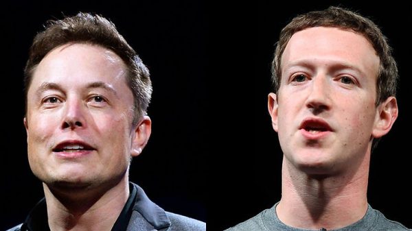 A ‘Cage Match’ Between Elon Musk and Mark Zuckerberg May Be No Joke