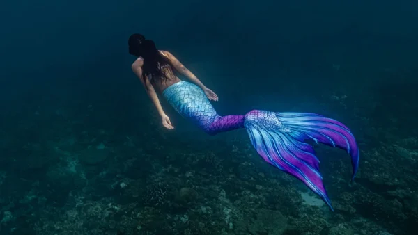 Under the Sea: Mermaids May Not Be as Human-like as We Think