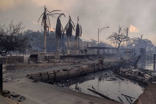 Maui Wildfire Forces Residents to Seek Refuge in the Water