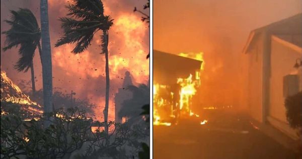 Maui Wildfires Spread Across Hawaii