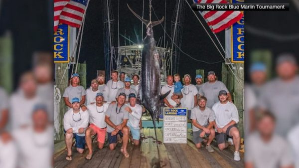 Their prize catch was set to bring in $3.5 million. Then the fish was disqualified