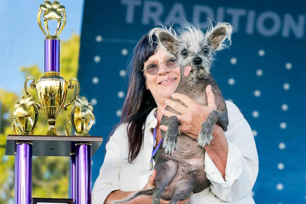 Scooter Voted As World’s Ugliest Dog Of 2023