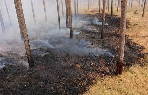 Canada Wildfires Have Cost Indigenous People Dearly