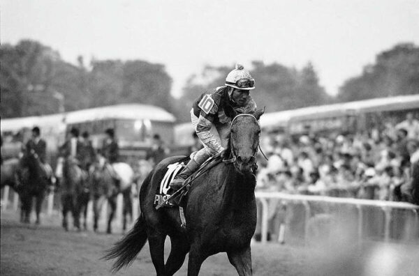 The Horse That Almost Won The Triple Crown