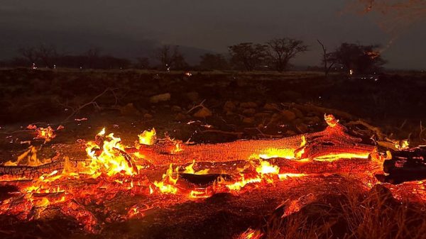 Maui Wildfires are the Worst Ones Hawaii Has Faced