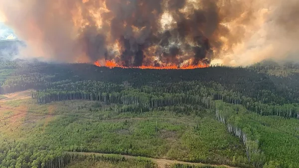 Wildfires in Canada have Robbed Native’s Land