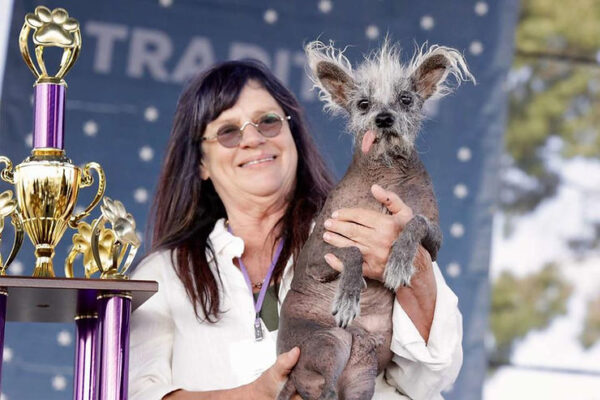 Scooter Wins World’s Ugliest Dog Contest