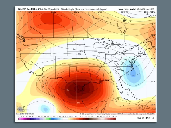 Heat Waves Sweep Across Houston and New Orleans, Raising Concerns