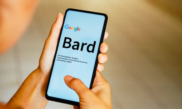 Google Bard: Achievements and Flaws